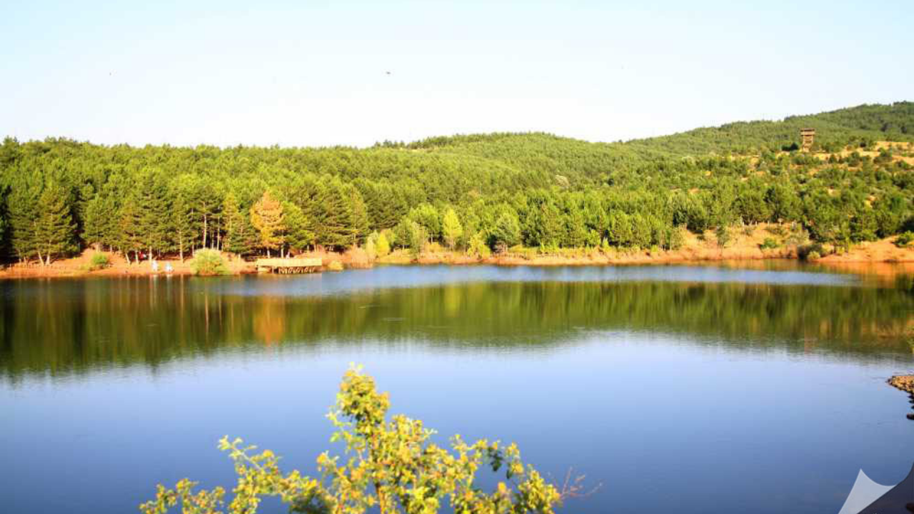 Yozgat Çamlığı'nda Oryantiring Heyecanı (2)