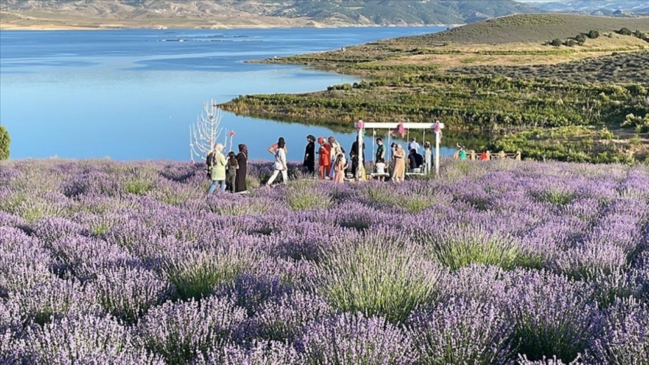 Yozgat Çekerek Arası Kaç Km (10)