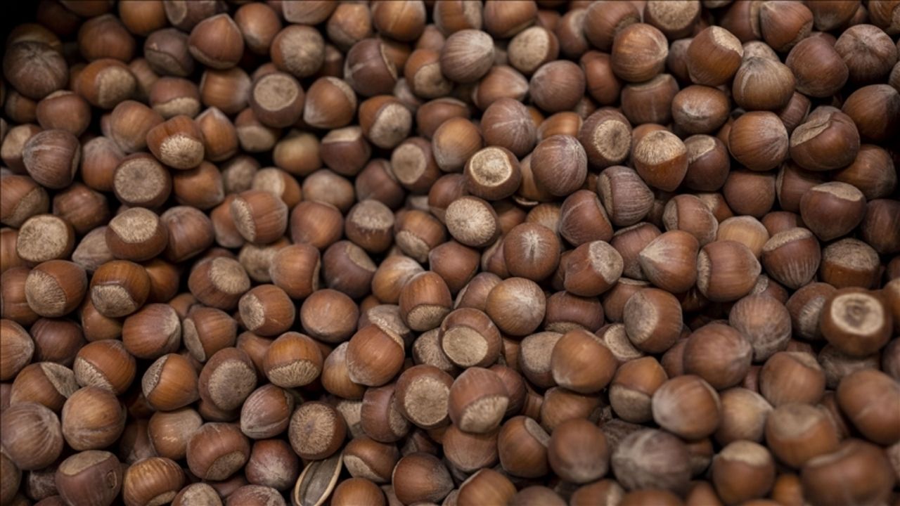 Yozgat Giresun Arası Kaç Km (2)