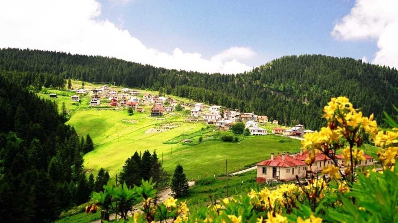 Yozgat Giresun Arası Kaç Km (7)