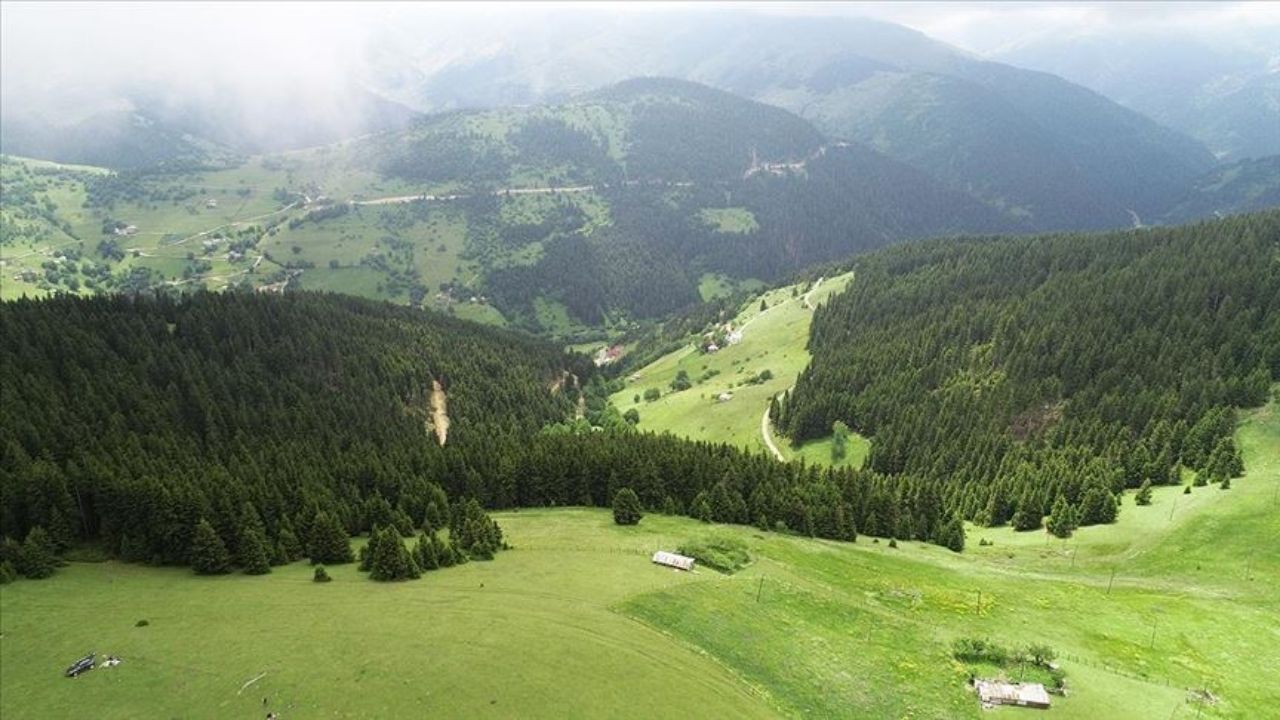 Yozgat Giresun Arası Kaç Km (8)