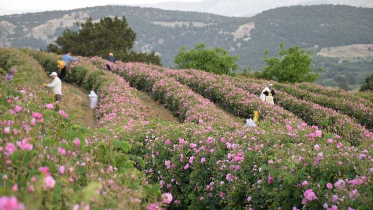 Yozgat Isparta Arası Kaç Km (8)