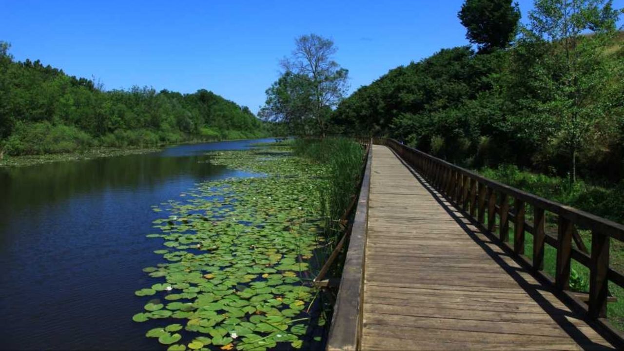 Yozgat Sakarya Arası Kaç Km (12)
