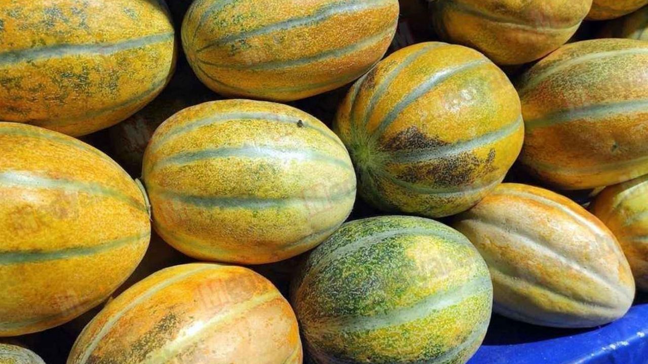 Yozgat Sakarya Arası Kaç Km (3)