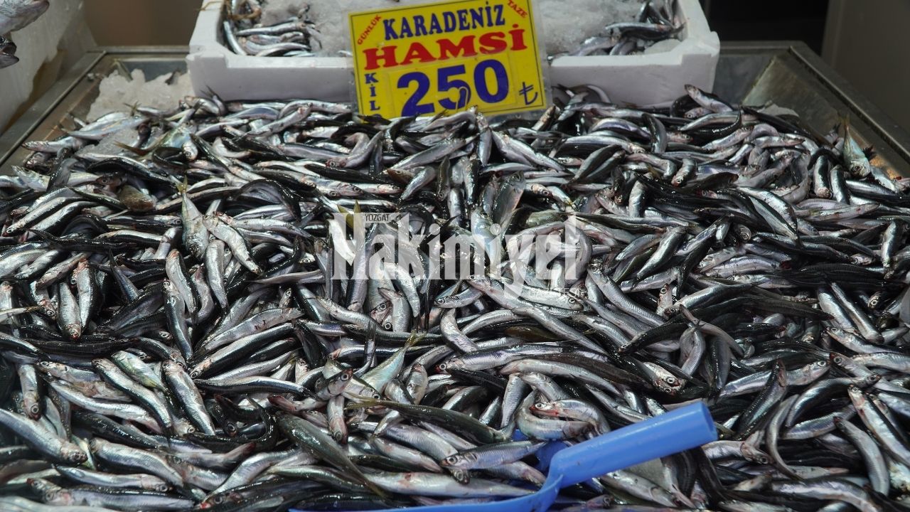 Yozgatlıların Tercih Ettiği Balıklar Sıralandı