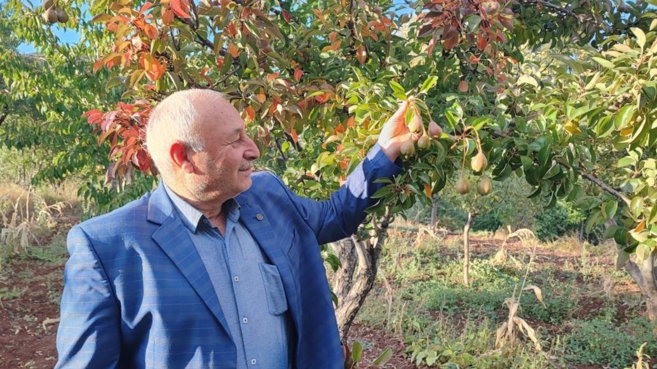 Yozgat’ta Doğa Takvimi Şaşırdı Görenle Hayret Ediyor 1