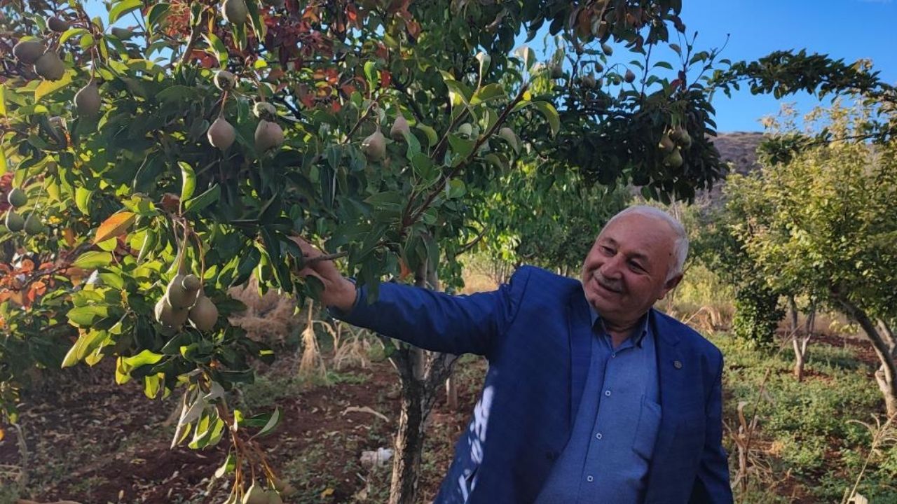 Yozgat’ta Doğa Takvimi Şaşırdı Görenle Hayret Ediyor 2