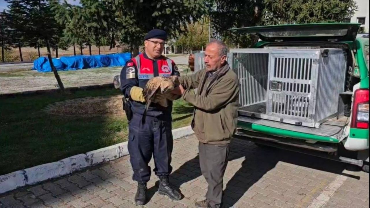 Yozgat’ta Yaralı Halde Bulundu-1