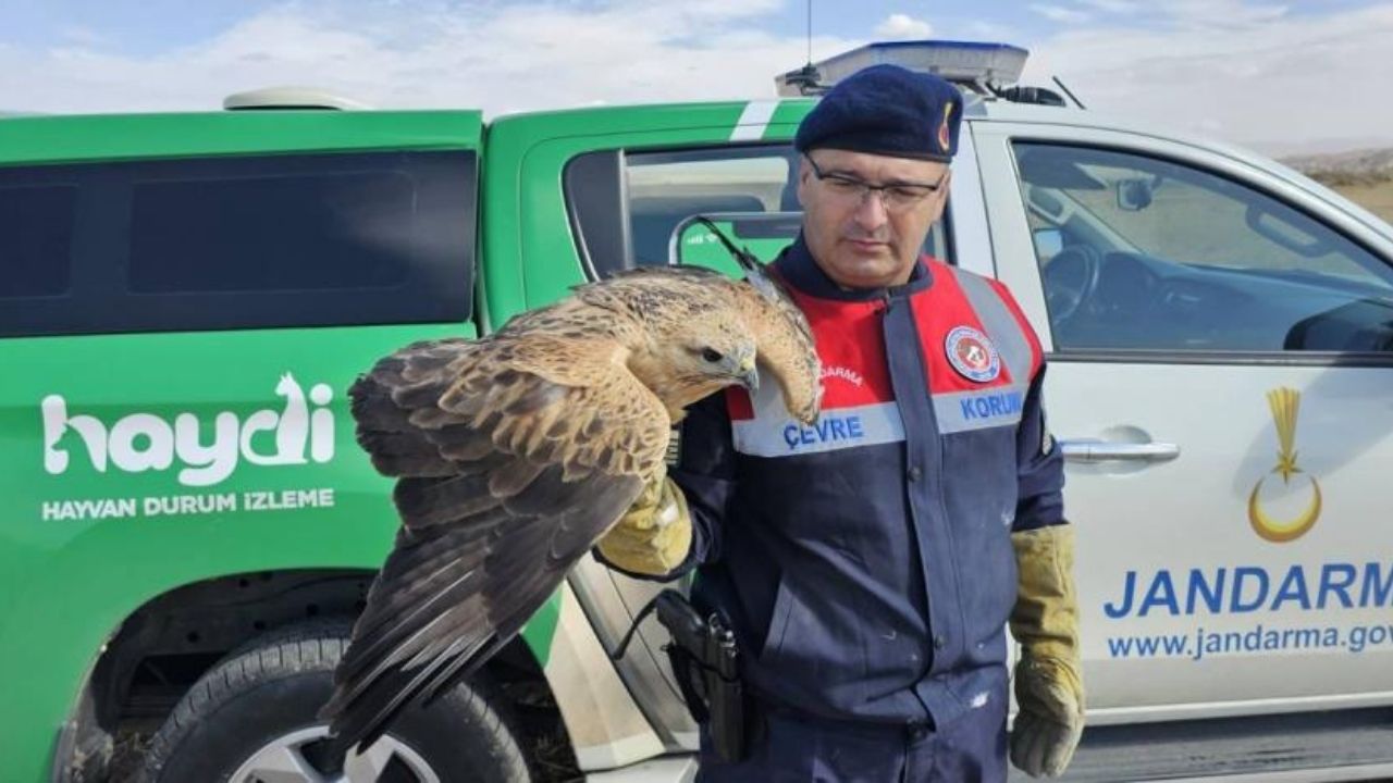 Yozgat’ta Yaralı Halde Bulundu2
