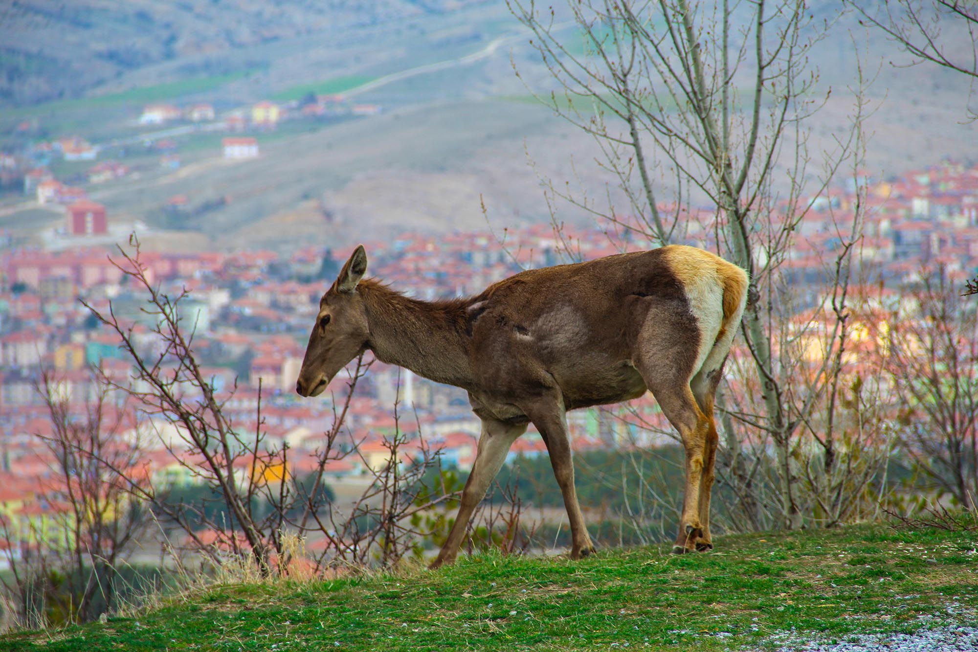 Yozgat’taki Buyer, Görenleri Kendine Hayran Bırakıyor! Burayı Yozgatlılar Bile Bilmiyor...5