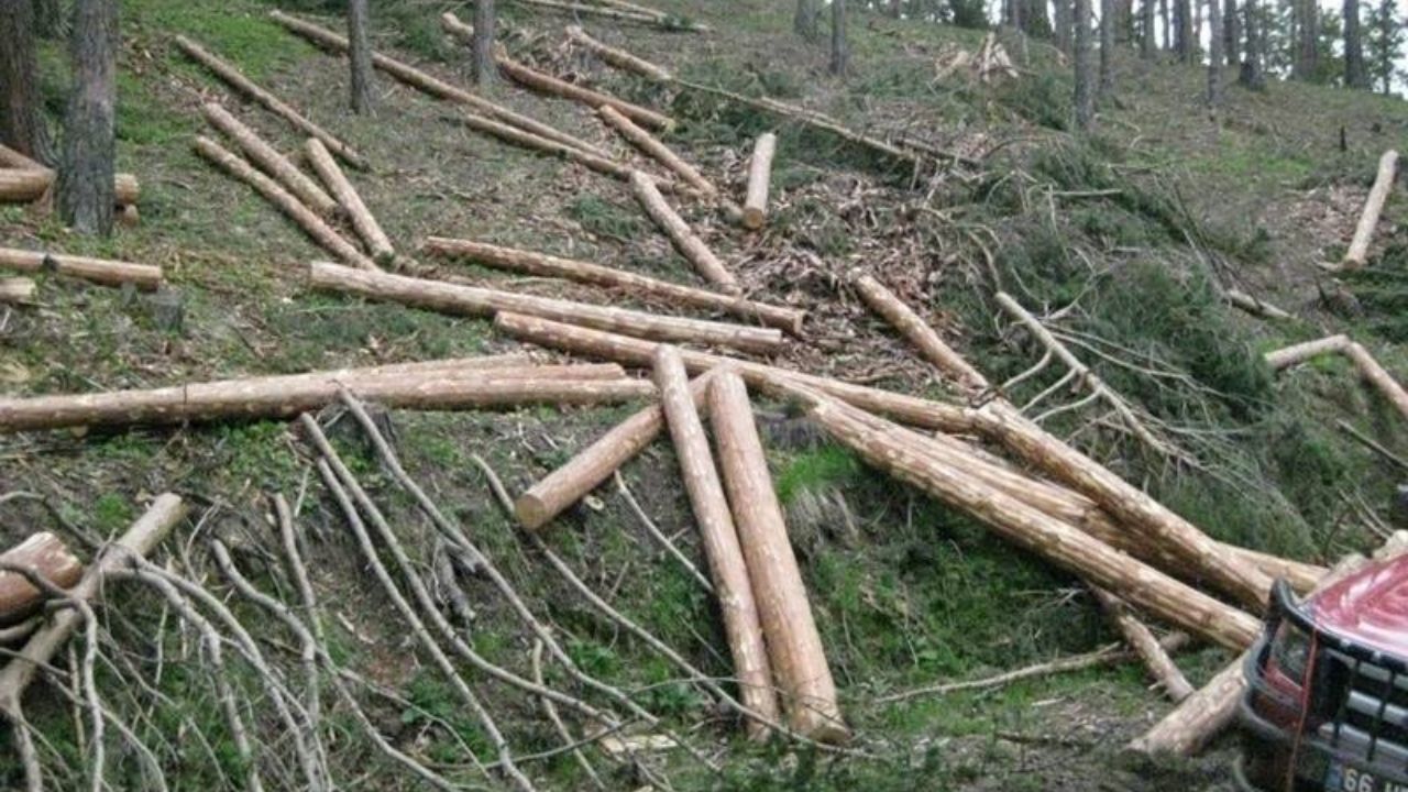 Yozgat’tan Acil Eylem Planı Çağrısı2