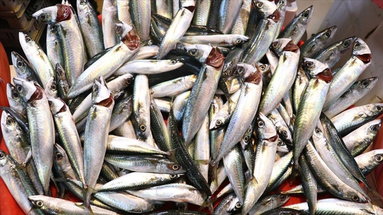 Gıda Zehirlenmesinde Ne Yapmalıyız (1)