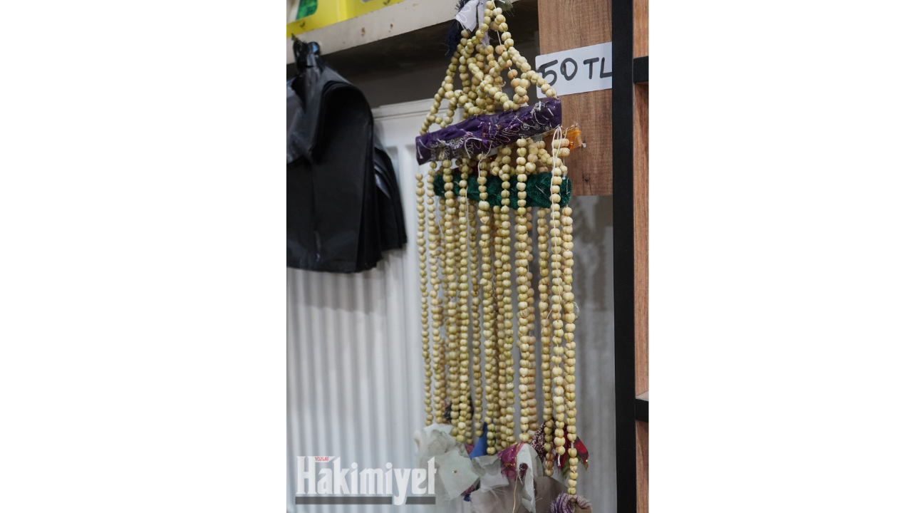 Halk Arasında Yüz Derde Deva Olarak Bilinen Bitki Şifa Dağıtıyor (4)