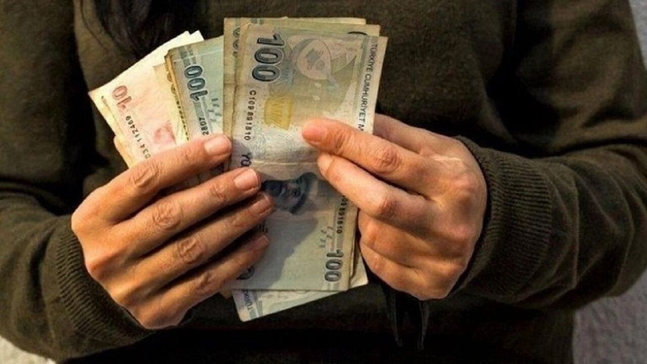 vatandaşlık maaşı nedir-1