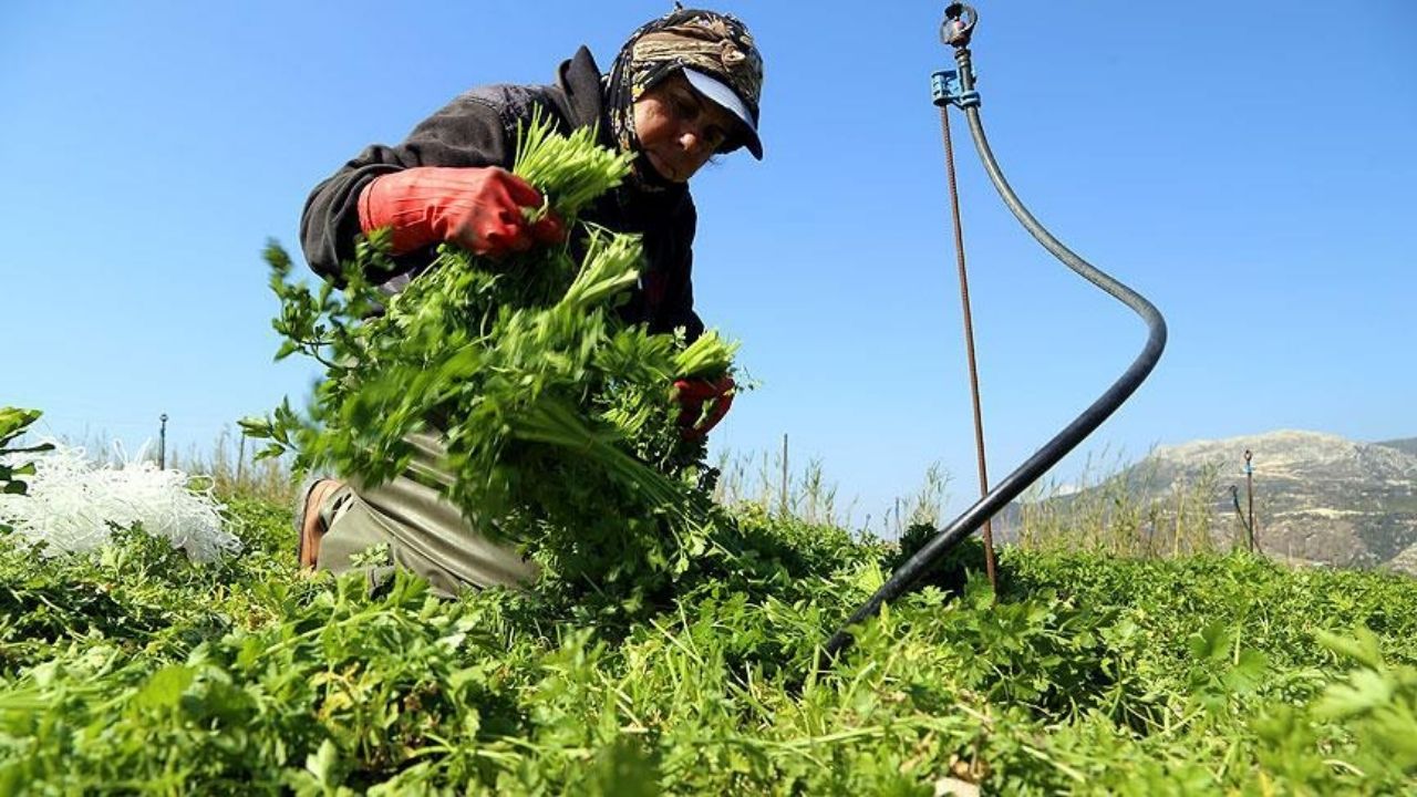 Marketlerin Lideri Belli Oldu (4)