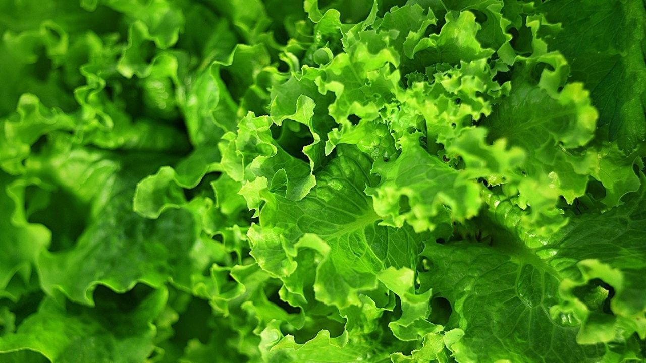 Marketlerin Lideri Belli Oldu (5)