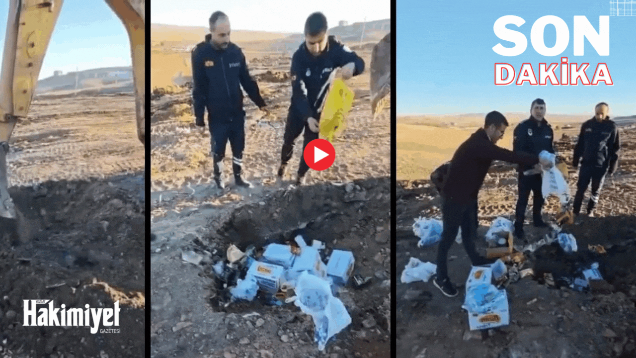 Son Dakika: Yozgat’ta Tepki Çeken Görüntüler: Zabıta Ekiplerinin İmha Yöntemi Tartışma Yarattı