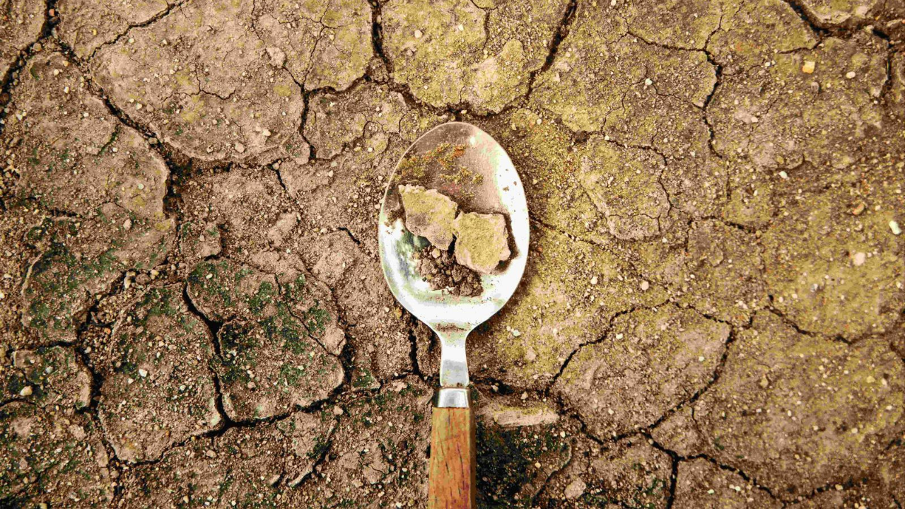 Toprak Yoksa Su, Su Yoksa Gıda Yok Yaşam Kaynağımız Tehdit Altında (4)