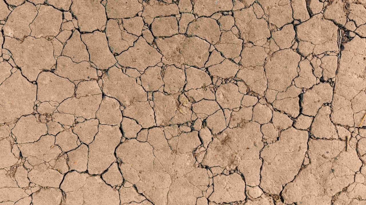 Toprak Yoksa Su, Su Yoksa Gıda Yok Yaşam Kaynağımız Tehdit Altında (5)