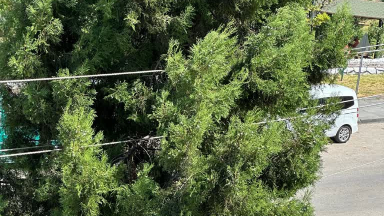 Yozgat Valiliğinden Elektrik Ve Trafik Güvenliği İçin Çağrı (1)