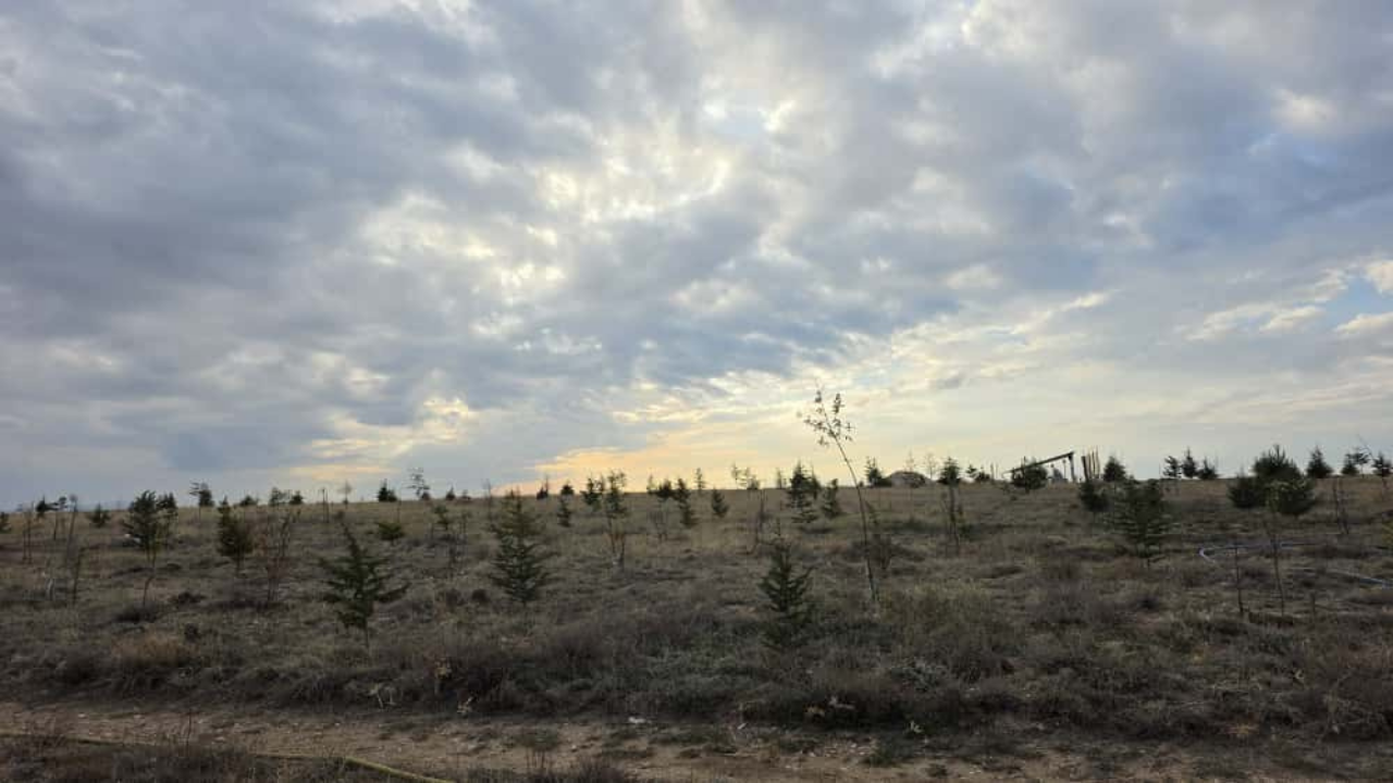 Yozgat’ta Ağaçlandırma İçin Örnek İş Birliği (2)