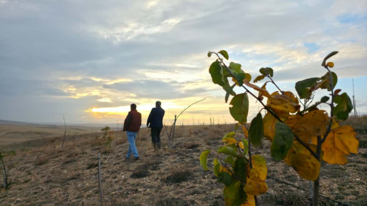 Yozgat’ta Ağaçlandırma İçin Örnek İş Birliği (6)