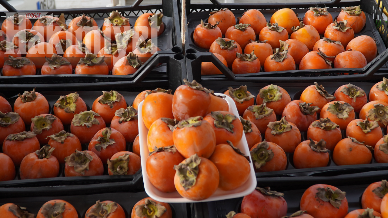 Yozgat’ta Kışa Damga Vuran Cennet Hurması Yoğun İlgi Görüyor (2)