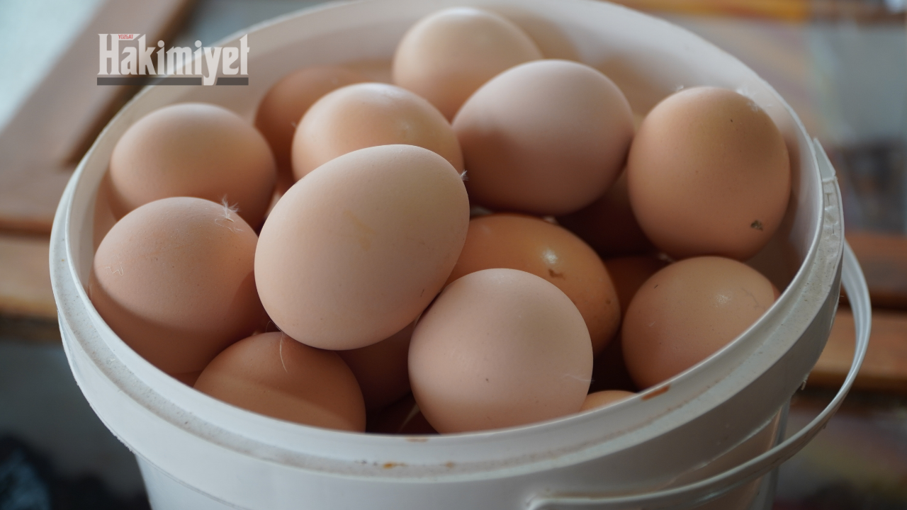 Yozgat’ta Marketler Yumurta Fiyatlarındaki Büyük Fark Vatandaşın Kafasını Karıştırdı (3)