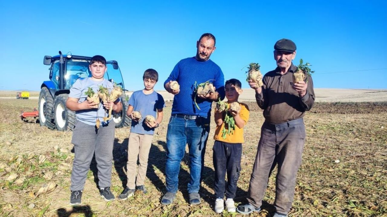 Yozgat'ta Pancar Hasadı Devam Ediyor (1)