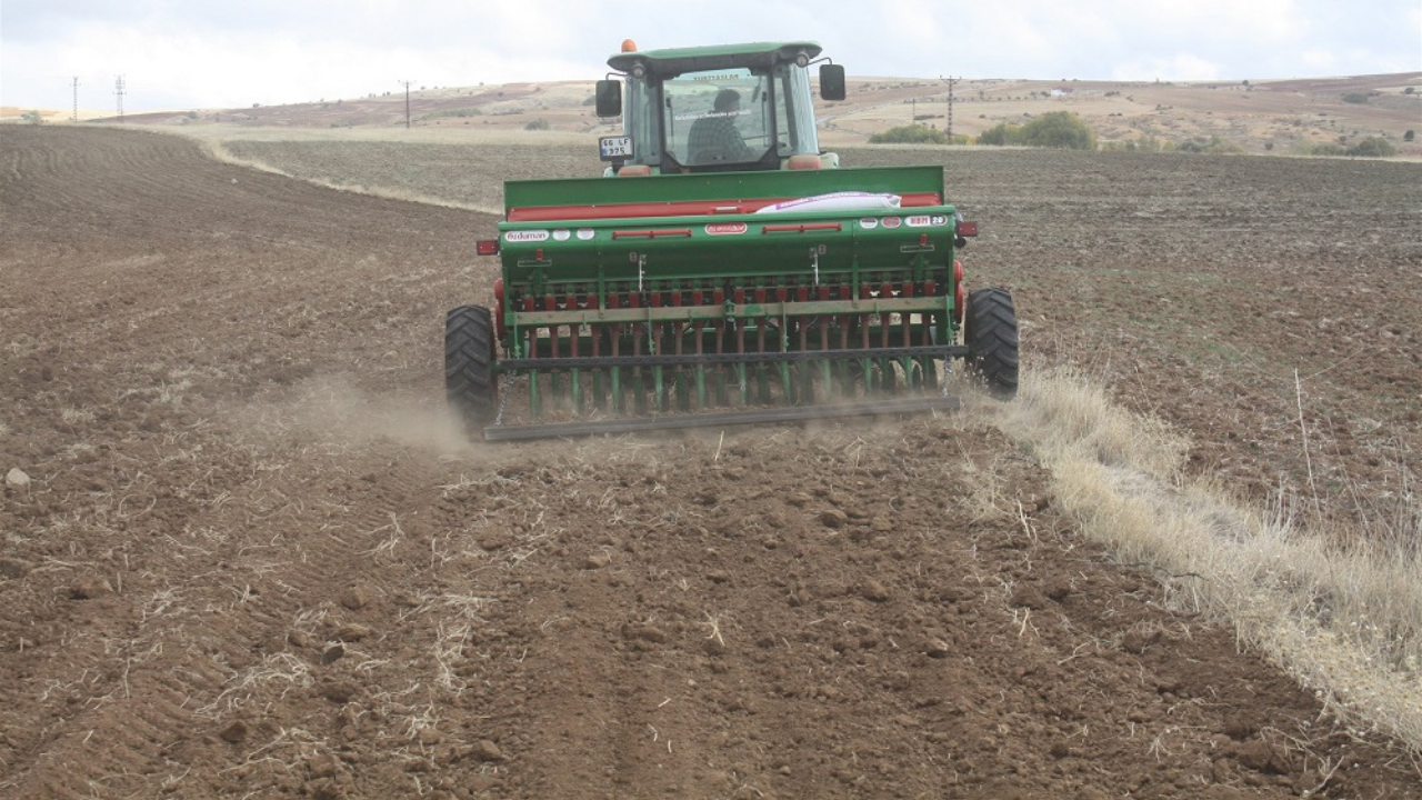 Yozgat’ta Yerli Buğday Arpa Ekimleri Yapıldı (3)