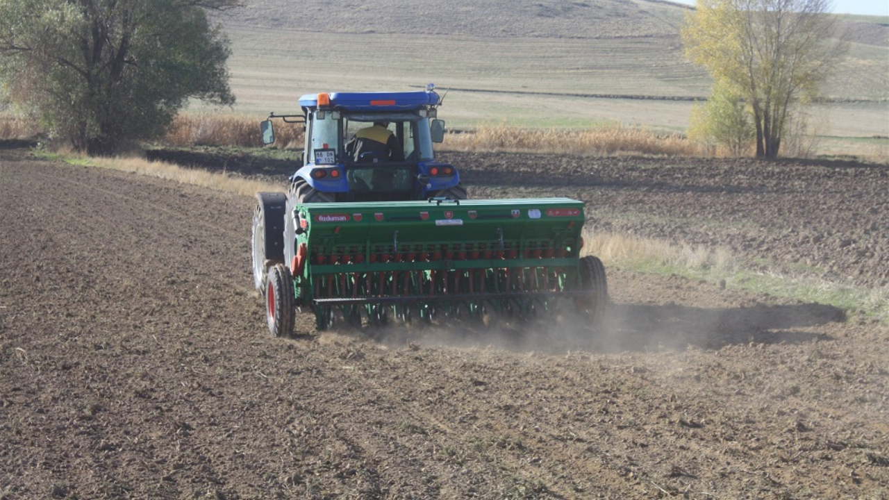 Yozgat’ta Yerli Buğday Arpa Ekimleri Yapıldı (5)
