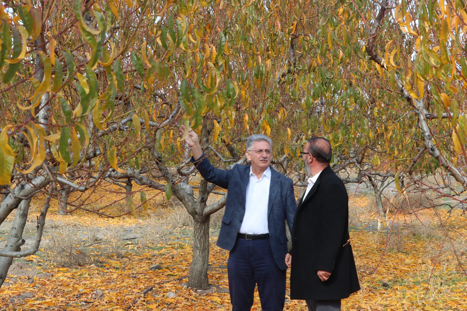Yozgat’ta Zirai Donun Zararları Tarsi̇m Ile Giderildi (1)