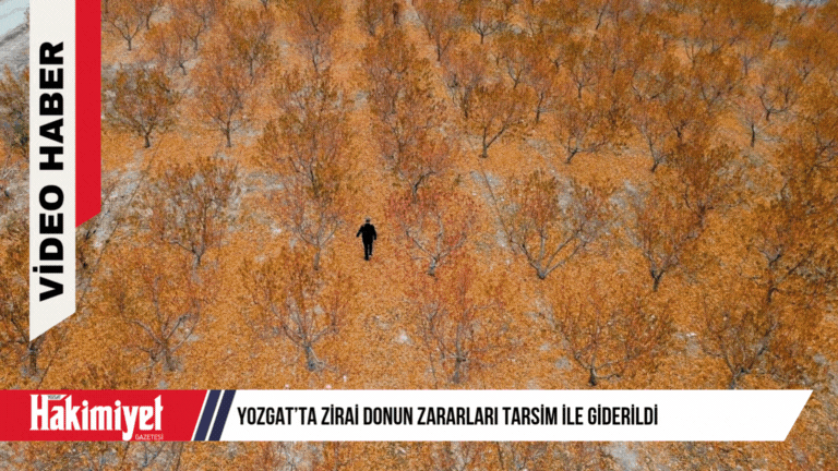 Yozgat’ta Zirai Donun Zararları TARSİM ile Giderildi
