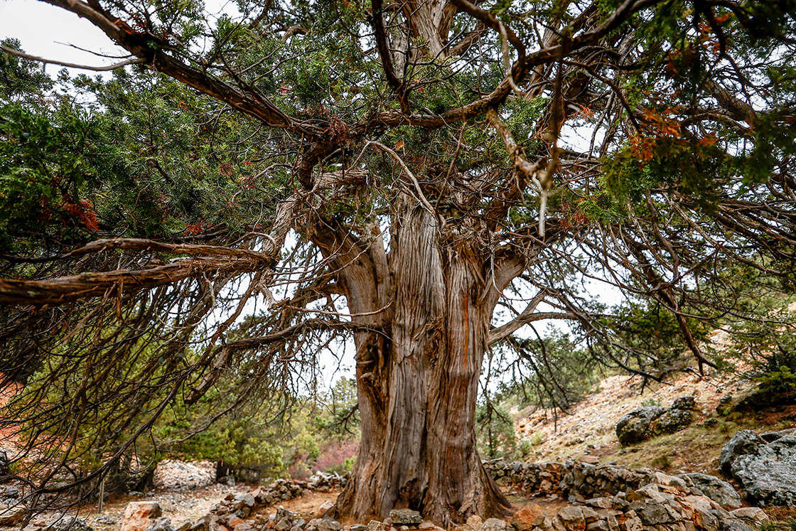 2021 Aralik Antalya2-1