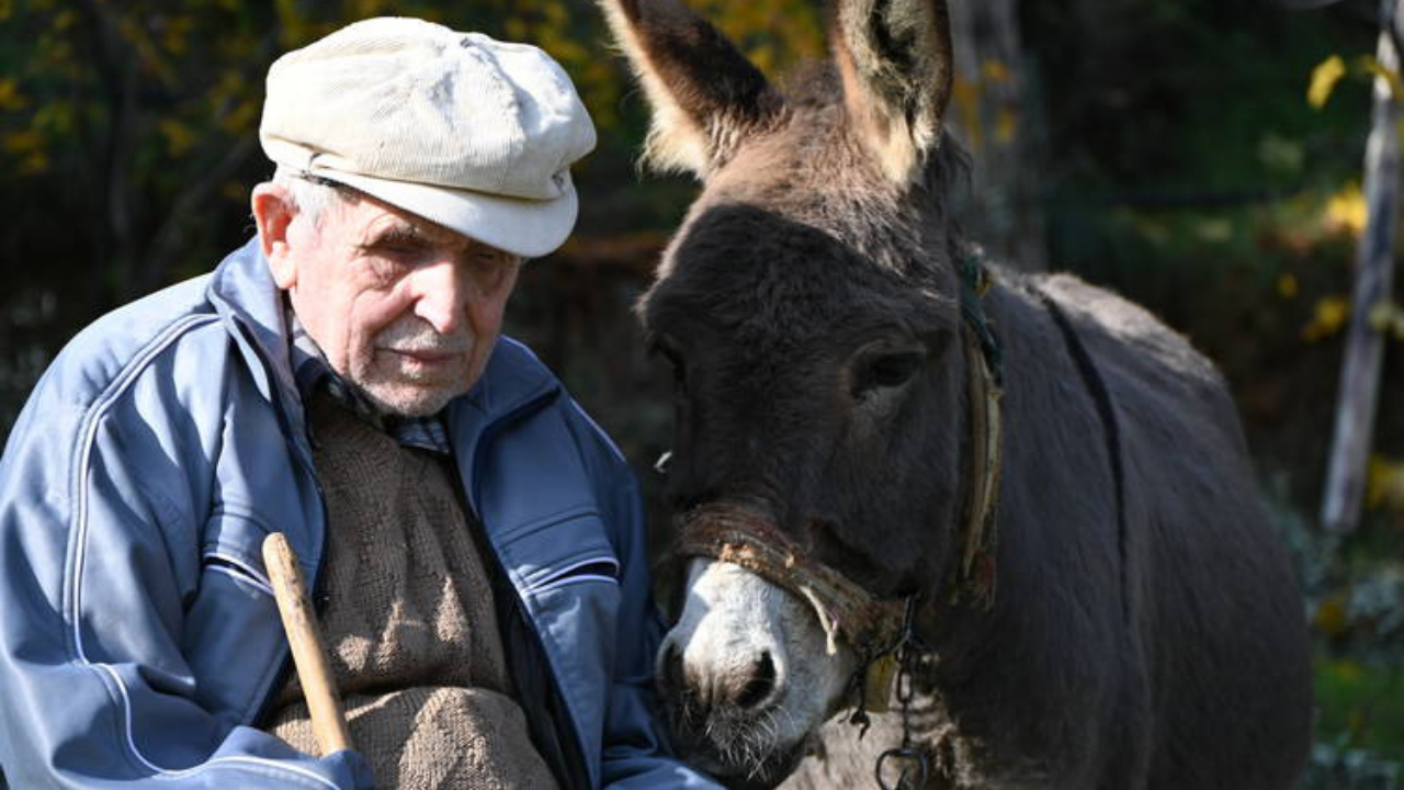 24 Yıldır Eli Ayağı Eşeği Oldu (1)