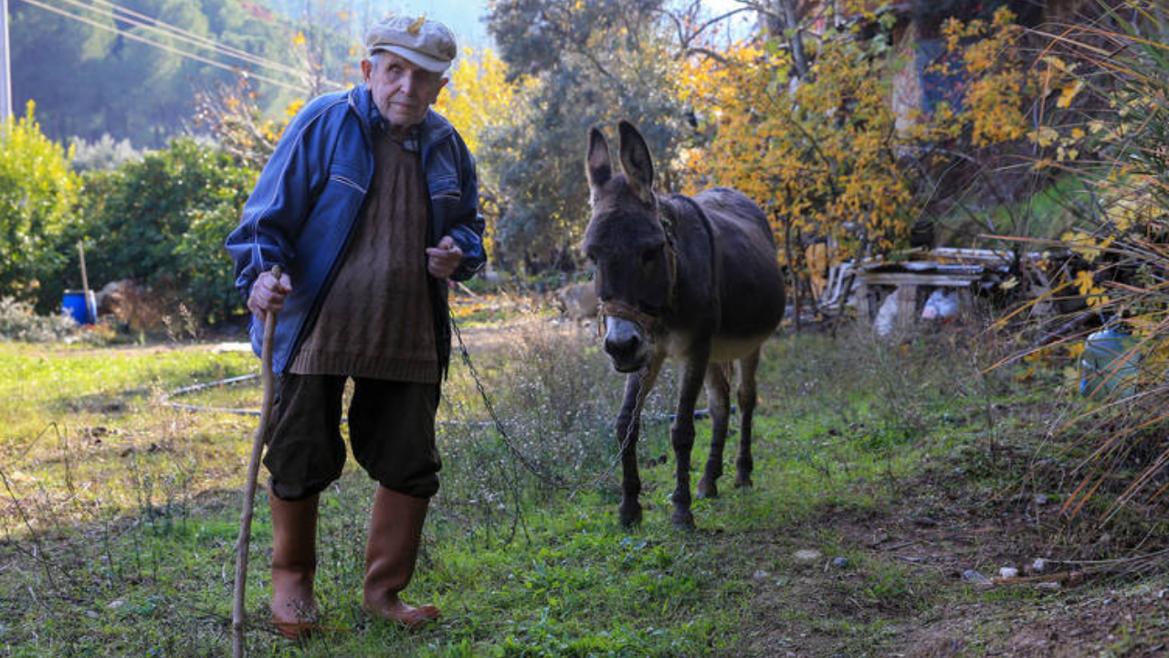 24 Yıldır Eli Ayağı Eşeği Oldu (3)