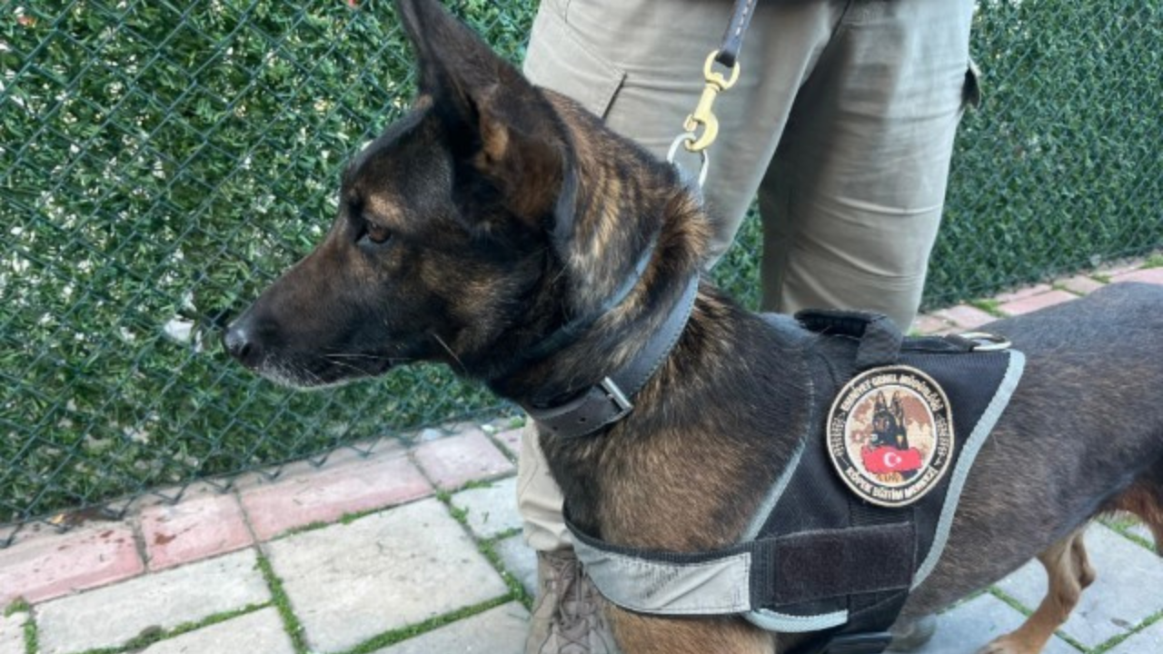 3 Milyon Uyuşturucu Hap Ele Geçirildi 46 Şüpheli Tutuklandı (2)