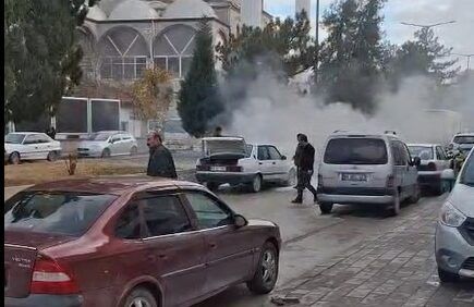 600443022 1464108652382263 4384023310153826170 N