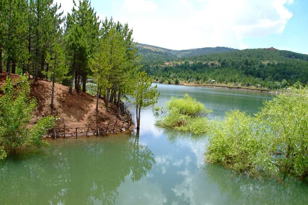 7Fc3C128 16Aa 4B9E 9509 5279C669C98D