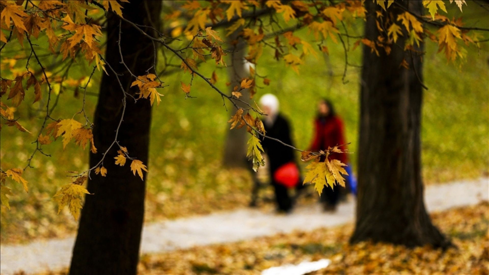 Adsız Tasarım (1)-102