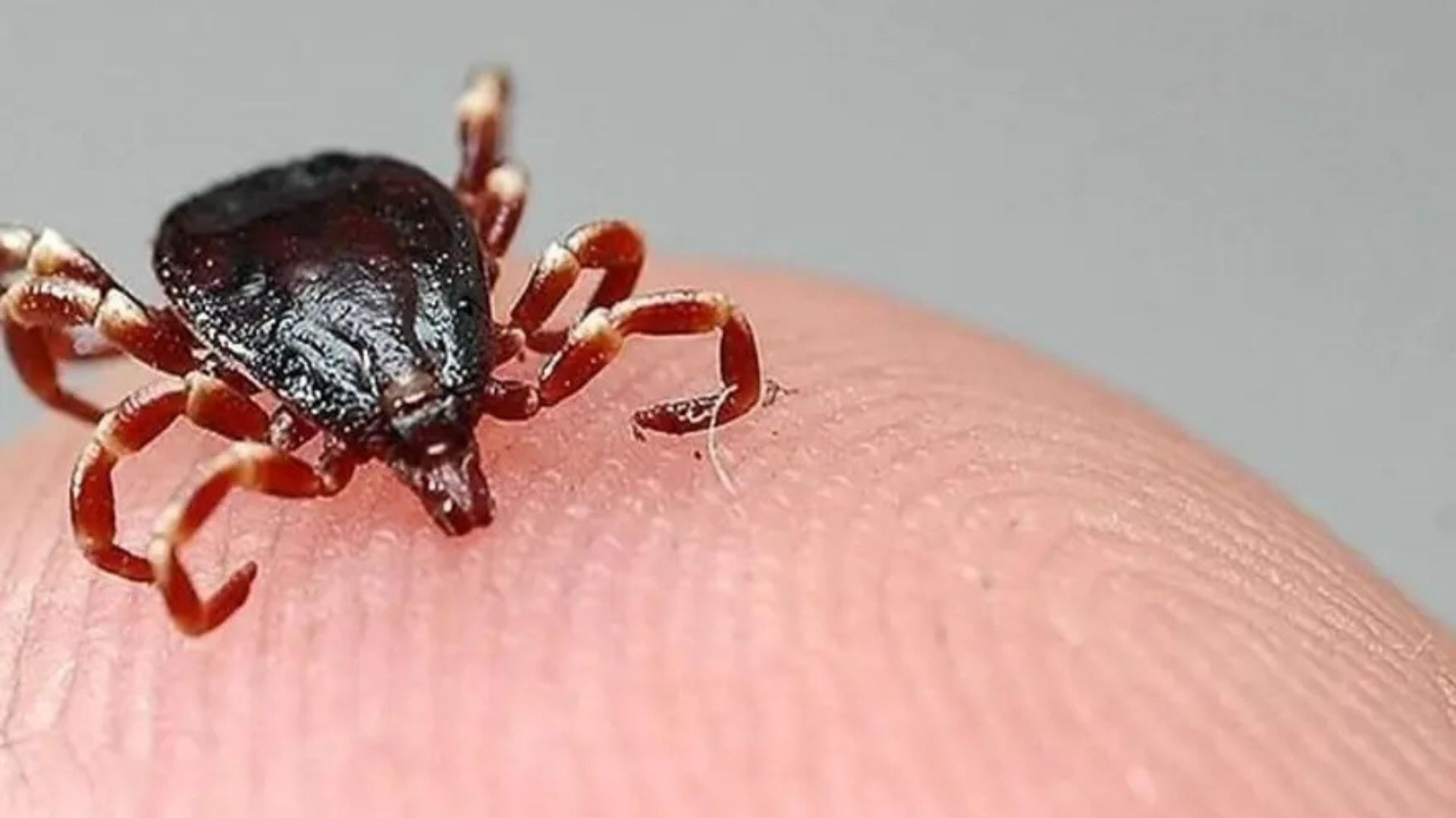 Adsız Tasarım (1)-89