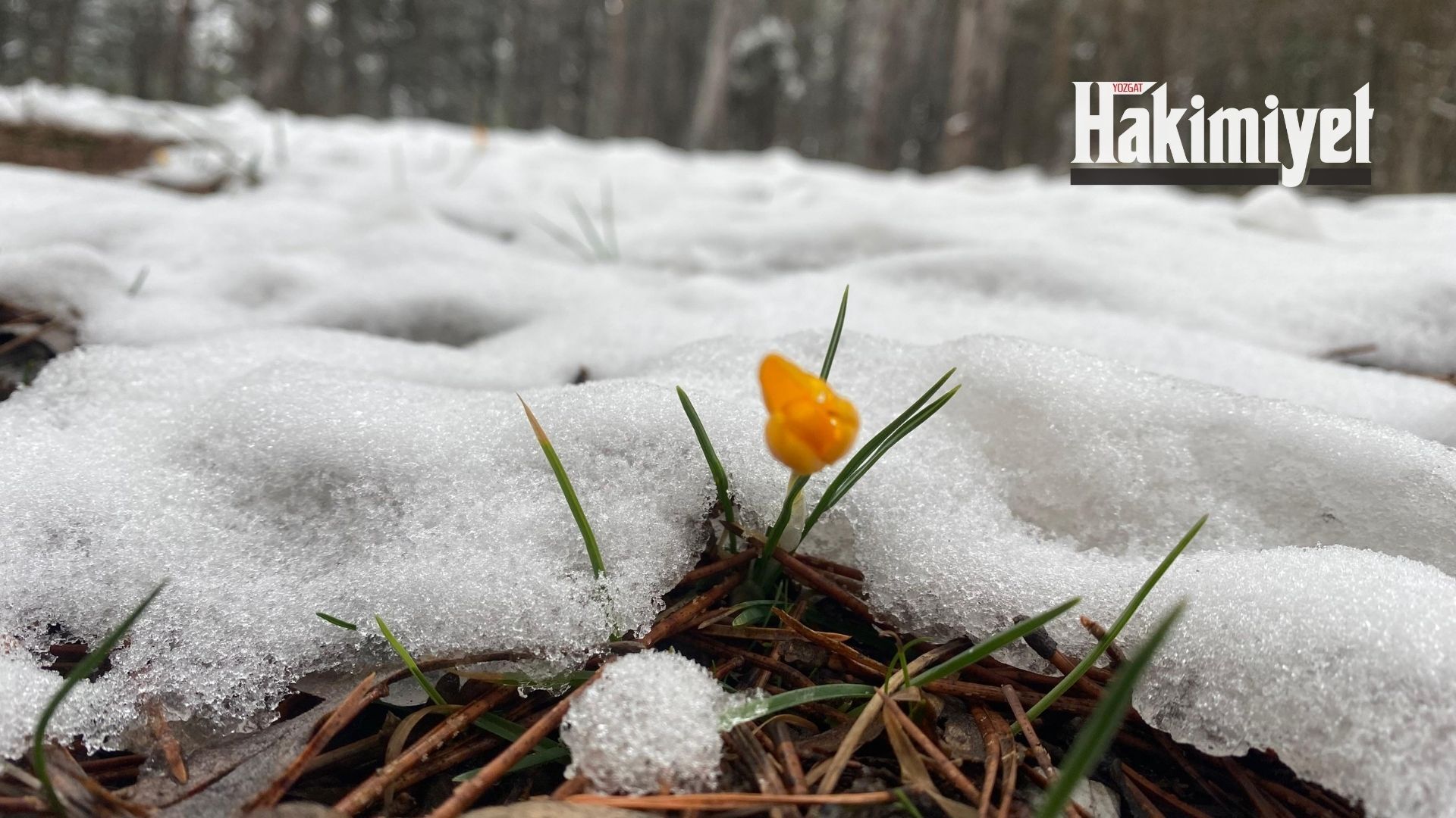 Adsız Tasarım (2)-111