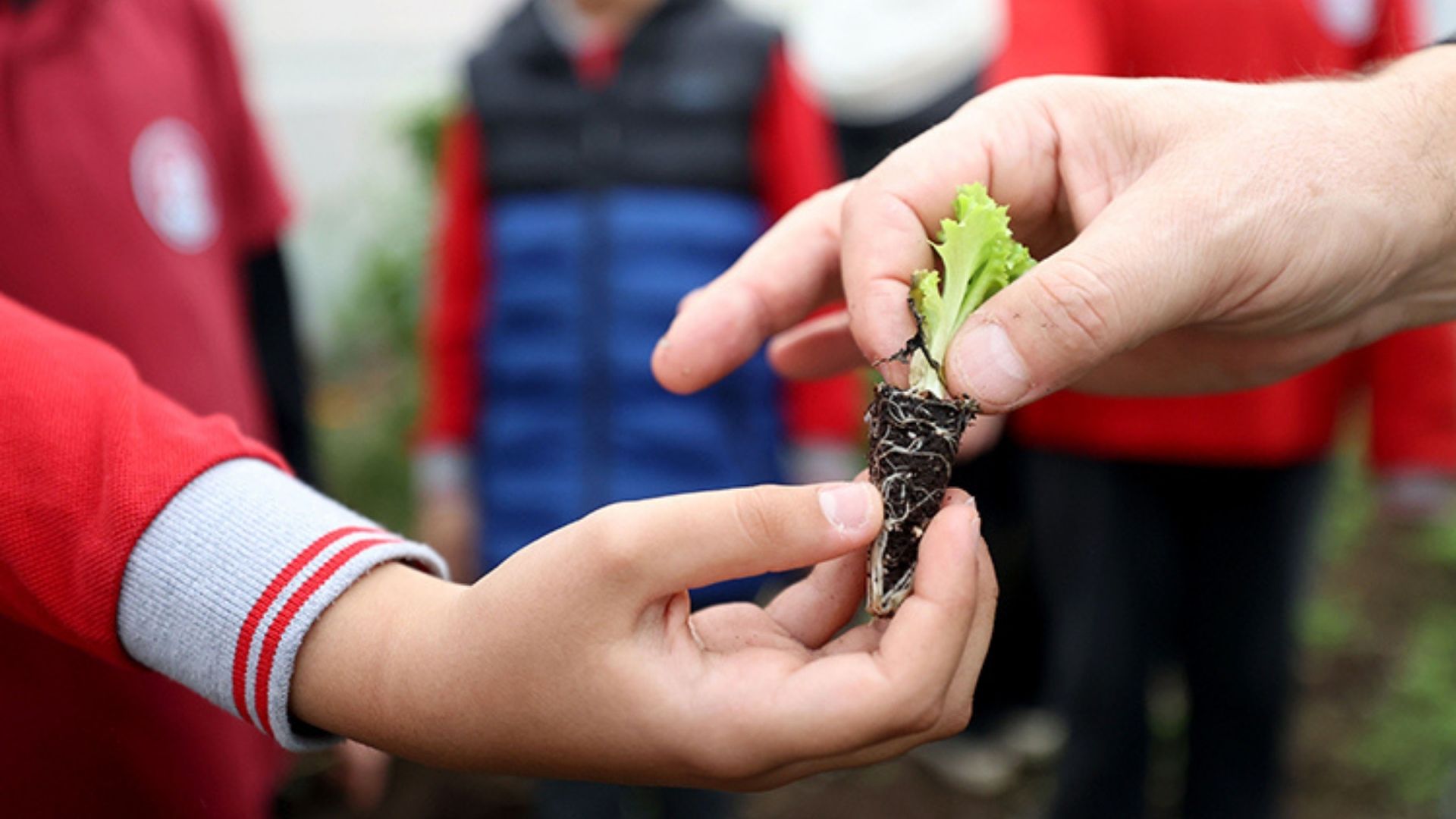 Adsız Tasarım (2)-91