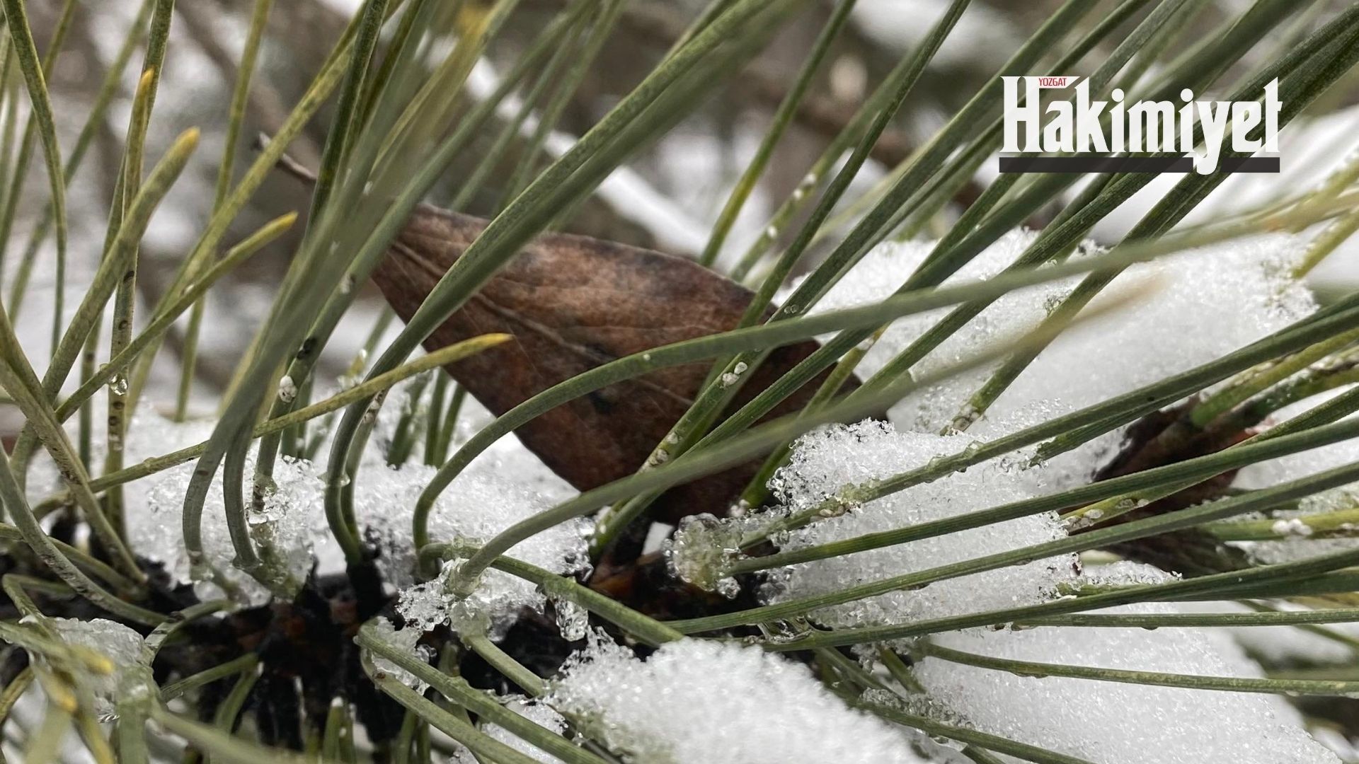 Adsız Tasarım (3)-83