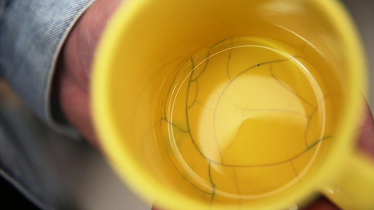 Evlerde Kullanılan Eşyalara Dikkat Bakteri Üretme Riski Taşıyor (3)