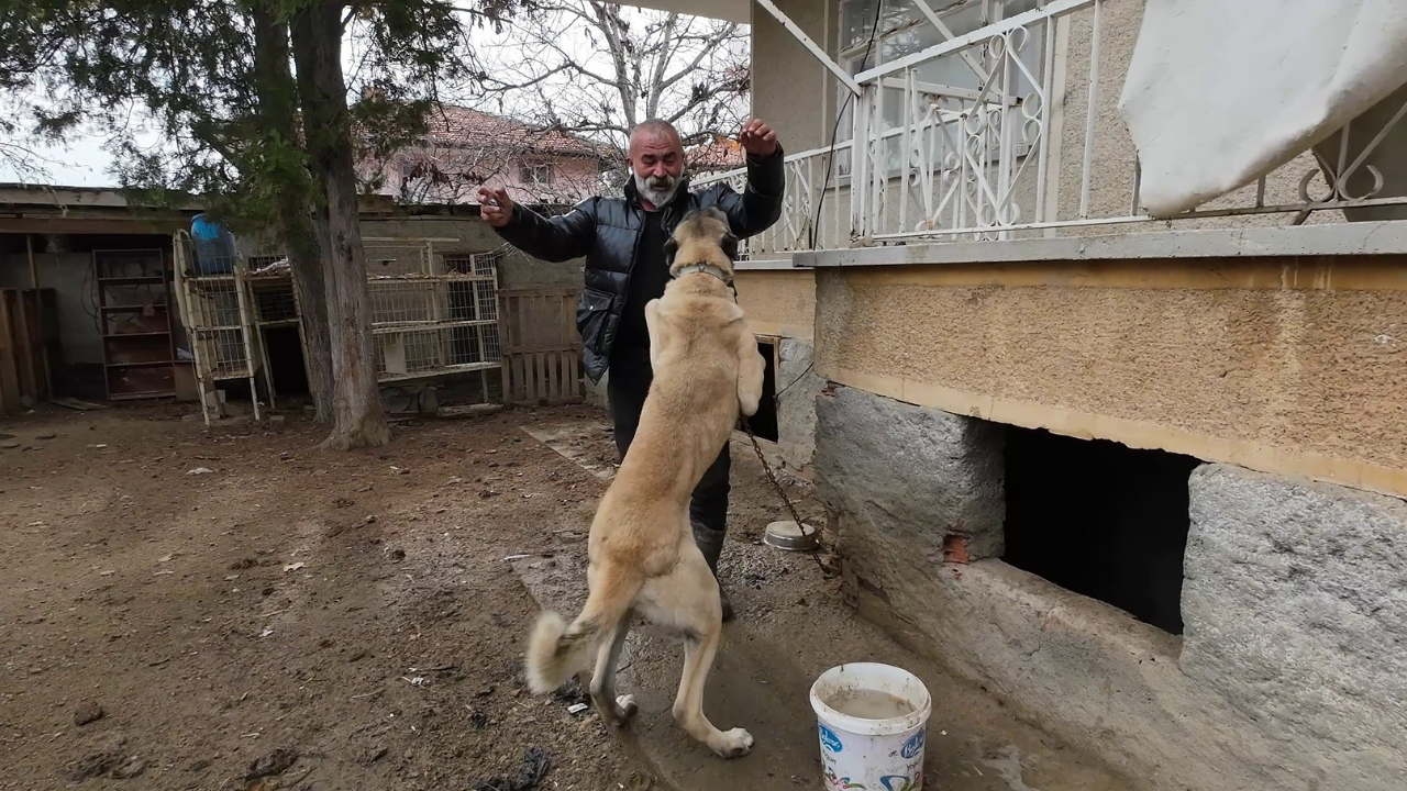Şehirden Köye Uzanan Bir Dönüş Hikayesi (3)