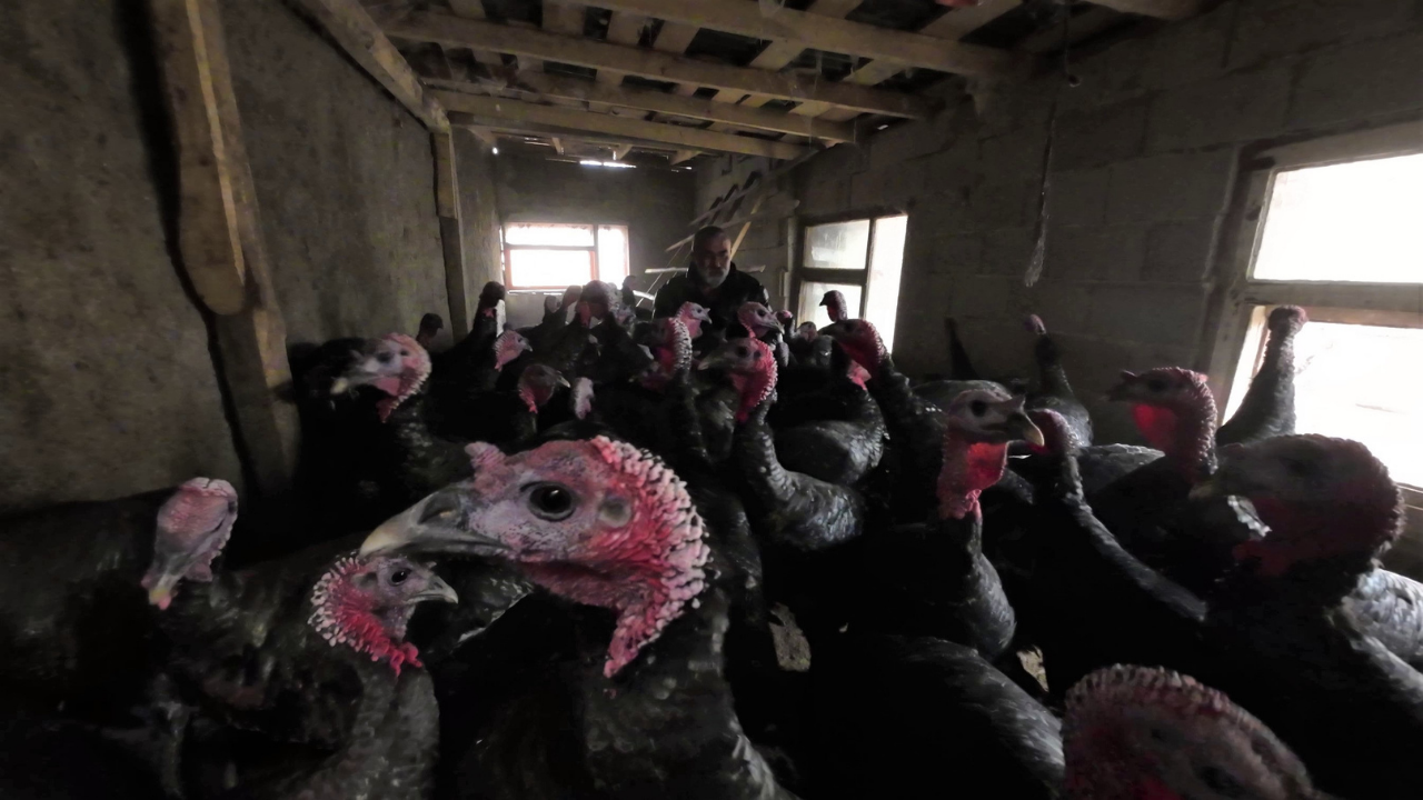 Şehirden Köye Uzanan Bir Dönüş Hikayesi (4)