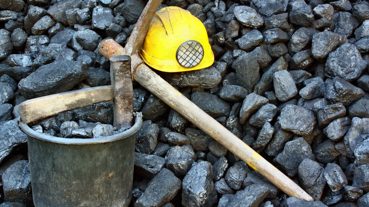 Tema Vakfı 2025’In Çevre Olaylarını Değerlendirdi Tehlike Büyük, Umut Hala Var (5)