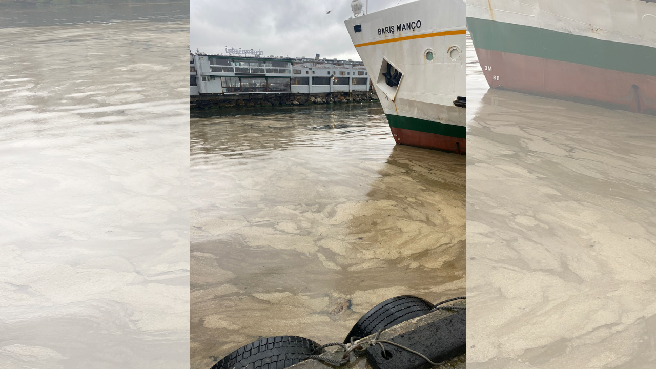 Tema Vakfı 2025’In Çevre Olaylarını Değerlendirdi Tehlike Büyük, Umut Hala Var (8)
