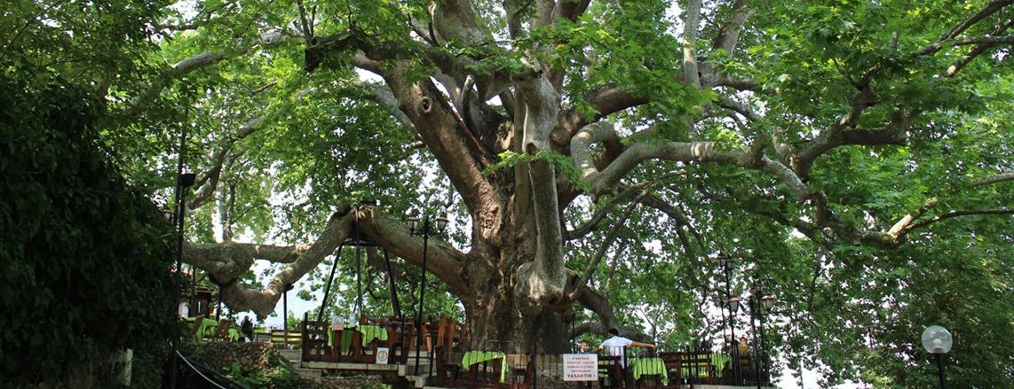 Thumbs B C Feb132A51D6C8Eae56430A72Aa0106A0